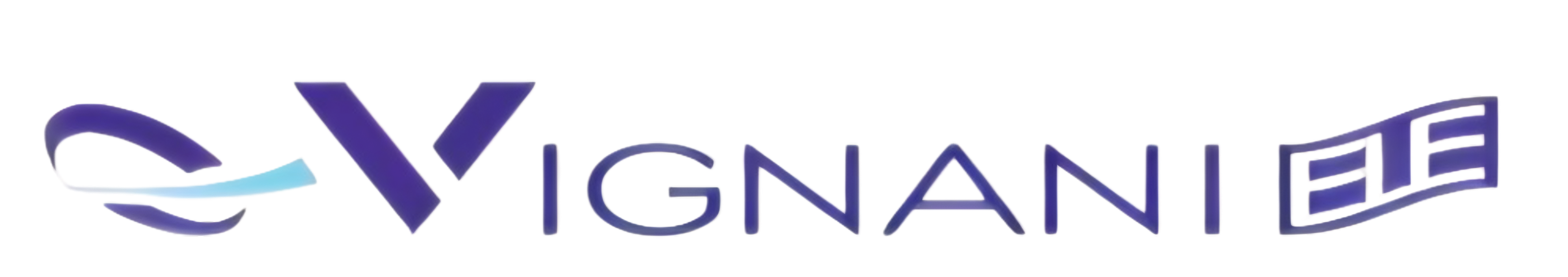 VignaniELE Logo